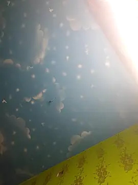 arushi bb online show from 02/12/26, 06:07