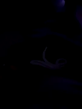 80julien online show from 02/13/26, 02:28