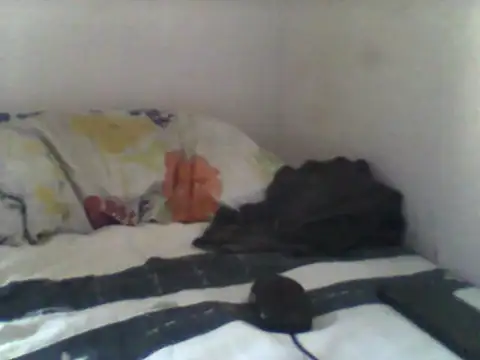 handsomeguy02 online show from 04/14/26, 02:44