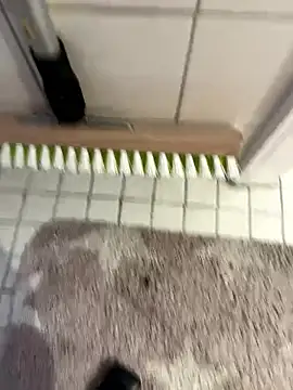 Snapshot of Hamsterdich chatting on 01/18/26, 03:59 Hamsterdich online show from 01/18/26, 03:59