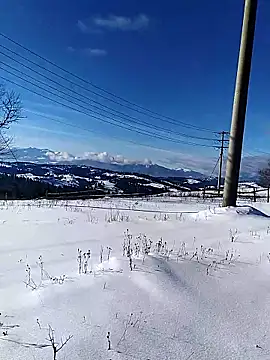 Ivan9iutt online show from 01/15/26, 10:51