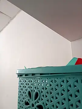 torvyHot online show from 04/13/26, 07:51