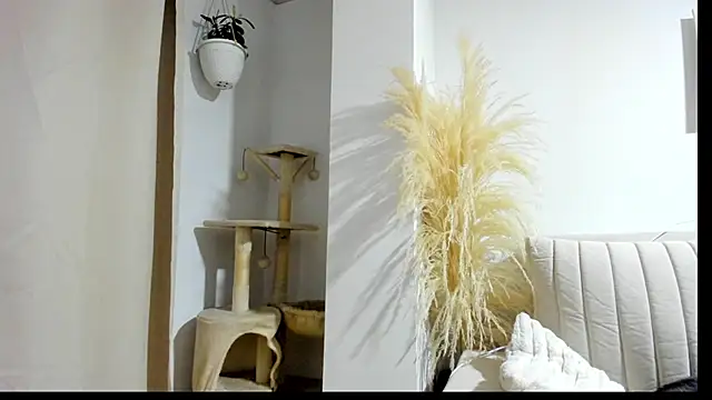  Sweet ary online show from 04/08/26, 02:57