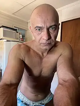 dogfrota online show from 02/04/26, 03:07