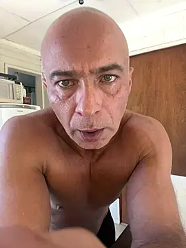 dogfrota online show from 03/19/26, 03:34