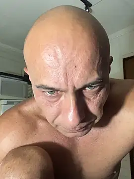 dogfrota online show from 02/05/26, 03:13