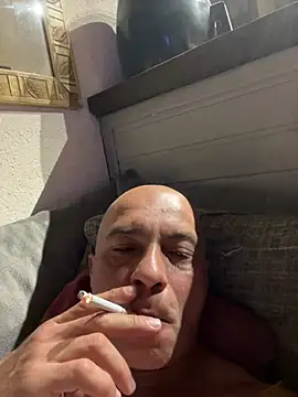 dogfrota online show from 01/11/26, 07:04