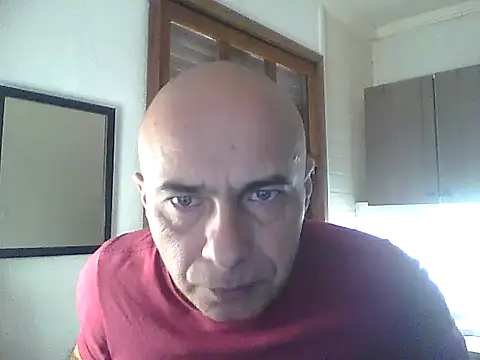 dogfrota online show from 05/29/26, 06:14