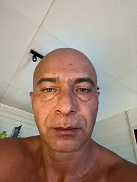 dogfrota online show from 03/08/26, 05:38