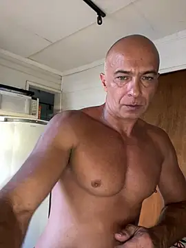 dogfrota online show from 02/26/26, 08:31