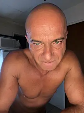 dogfrota online show from 03/07/26, 03:35