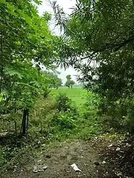 Shivanisingh4 online show from 07/21/26, 06:26
