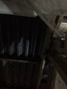 sun-shii online show from 03/30/26, 10:55