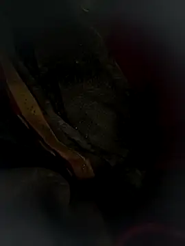 Snapshot of Hot_bh64 chatting on 03/24/26, 03:56 Hot bh64 online show from 03/24/26, 03:56