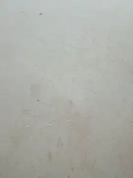 Lyly-68688 online show from 04/15/26, 01:00