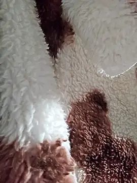 Snapshot of Virgin_Pussy_SquirtX chatting on 01/15/26, 07:34 Virgin Pussy SquirtX online show from 01/15/26, 07:34