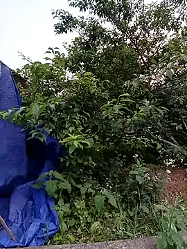 -Likin- online show from 04/10/26, 11:06