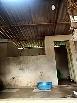 -Likin- online show from 03/31/26, 09:33