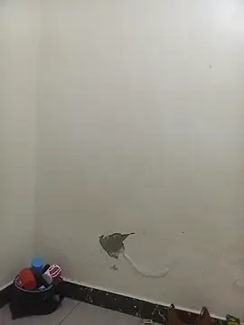 Snapshot of PatriciaVen chatting on 02/06/26, 05:58 PatriciaVen online show from 02/06/26, 05:58