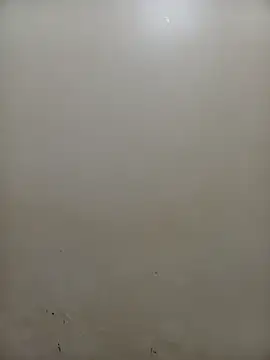 Snapshot of PatriciaVen chatting on 02/04/26, 05:02 PatriciaVen online show from 02/04/26, 05:02