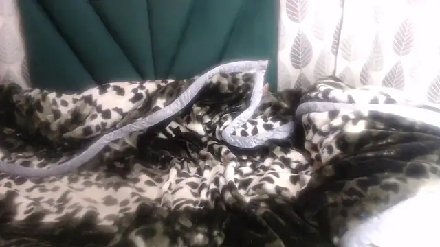 Nellybba online show from 03/08/26, 04:21