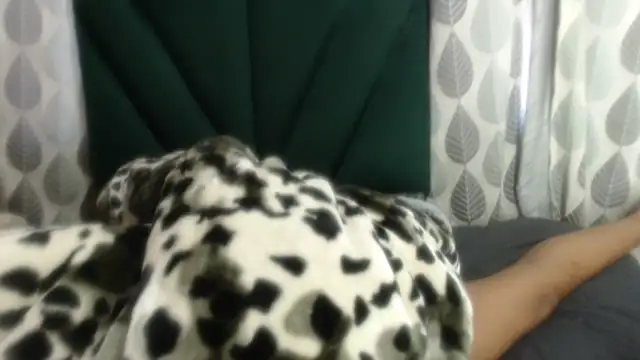 Nellybba online show from 03/27/26, 05:49