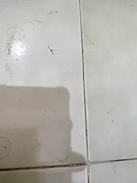 Snapshot of TamilBoy3007 chatting on 02/06/26, 07:32 TamilBoy3007 online show from 02/06/26, 07:32