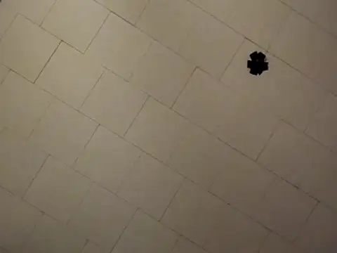 sterng6969 online show from 04/09/26, 08:09