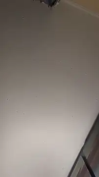 sterng6969 online show from 03/13/26, 05:56