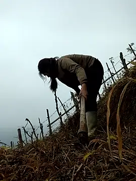 miumiu sexy2x online show from 04/01/26, 02:02