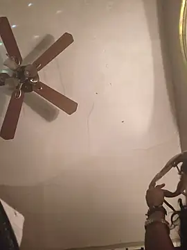 dianagonewild online show from 03/21/26, 04:46