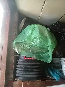 Snapshot of dicklife3485 chatting on 04/14/26, 09:03 dicklife3485 online show from 04/14/26, 09:03