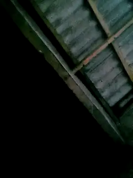 Diana-02 online show from 04/28/26, 10:14