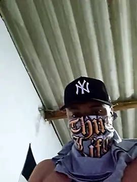 novinho br29 online show from 02/01/26, 08:34