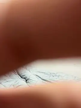 elephant0 online show from 01/13/26, 06:01