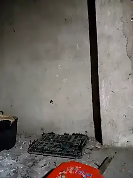 Nga x9 online show from 03/24/26, 10:21