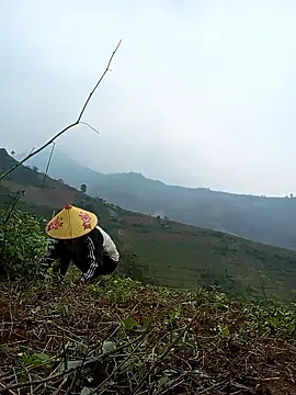 Nga x9 online show from 03/13/26, 07:24