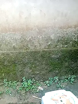 out-lustt online show from 04/20/26, 09:45