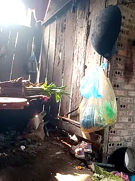 out-lustt online show from 03/27/26, 08:01