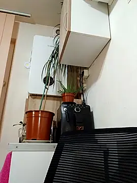 AdaJoy online show from 03/17/26, 09:29