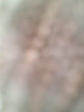 allenyalana online show from 02/24/26, 03:57