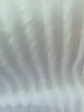 Your Enyel online show from 02/03/26, 12:43