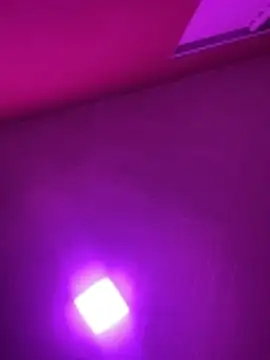 MorenaCariok online show from 02/17/26, 04:37