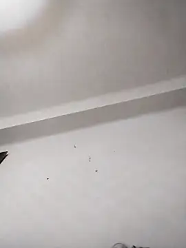 anastasiadaniela online show from 02/12/26, 01:38