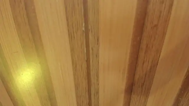 sweet  luna   online show from 04/13/26, 11:03