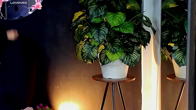 Noaah25  online show from 04/10/26, 03:24