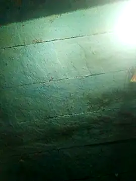 priyasharma899 online show from 02/13/26, 06:52