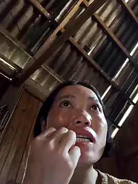 kotaka-shoow online show from 03/02/26, 05:41