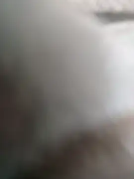 Felipe 20cm online show from 02/04/26, 04:24