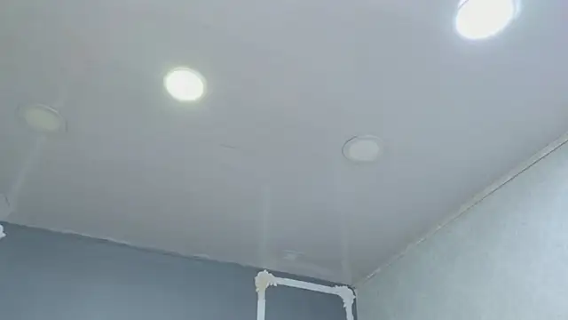 HaileyTims online show from 04/29/26, 11:36